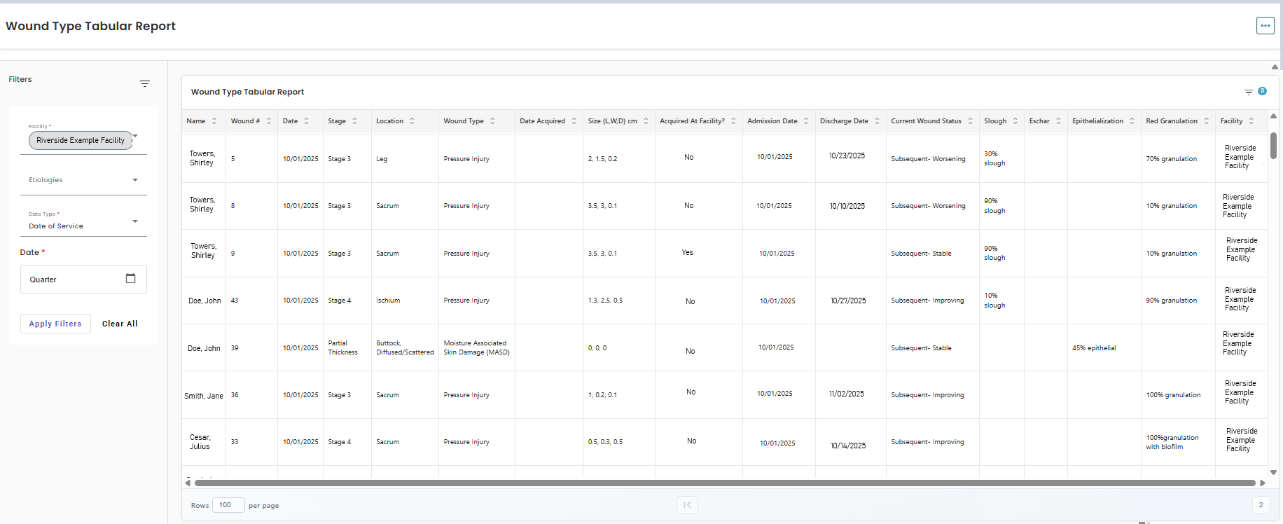 Wound Type Tabular Report.png
